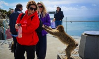 Gibraltar-13-Duży