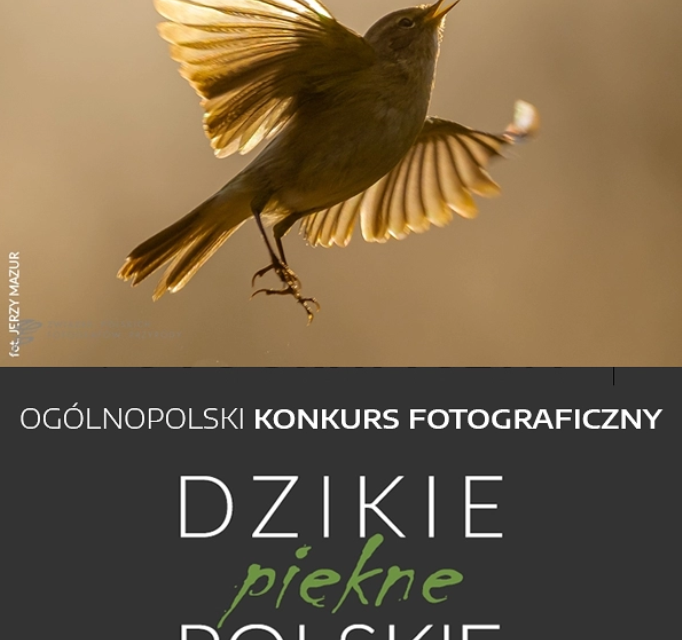 Ogólnopolski Konkurs Fotograficzny pt.: „Dzikie piękne polskie”